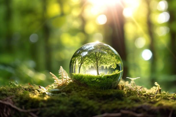 istockphoto-1488944909-612x612